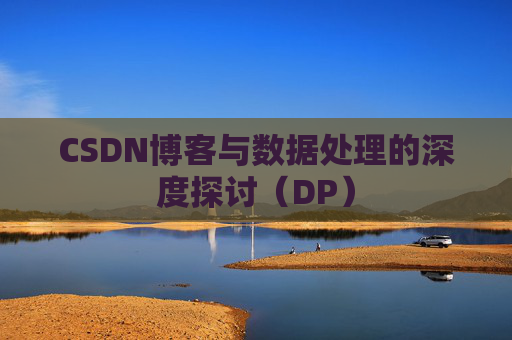 CSDN博客与数据处理的深度探讨（DP）